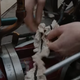 Image for article titled Mercedes-Benz' Bertha Benz Tribute Film is Strangely Dark and Feels Like a Trailer for a Horror Movie